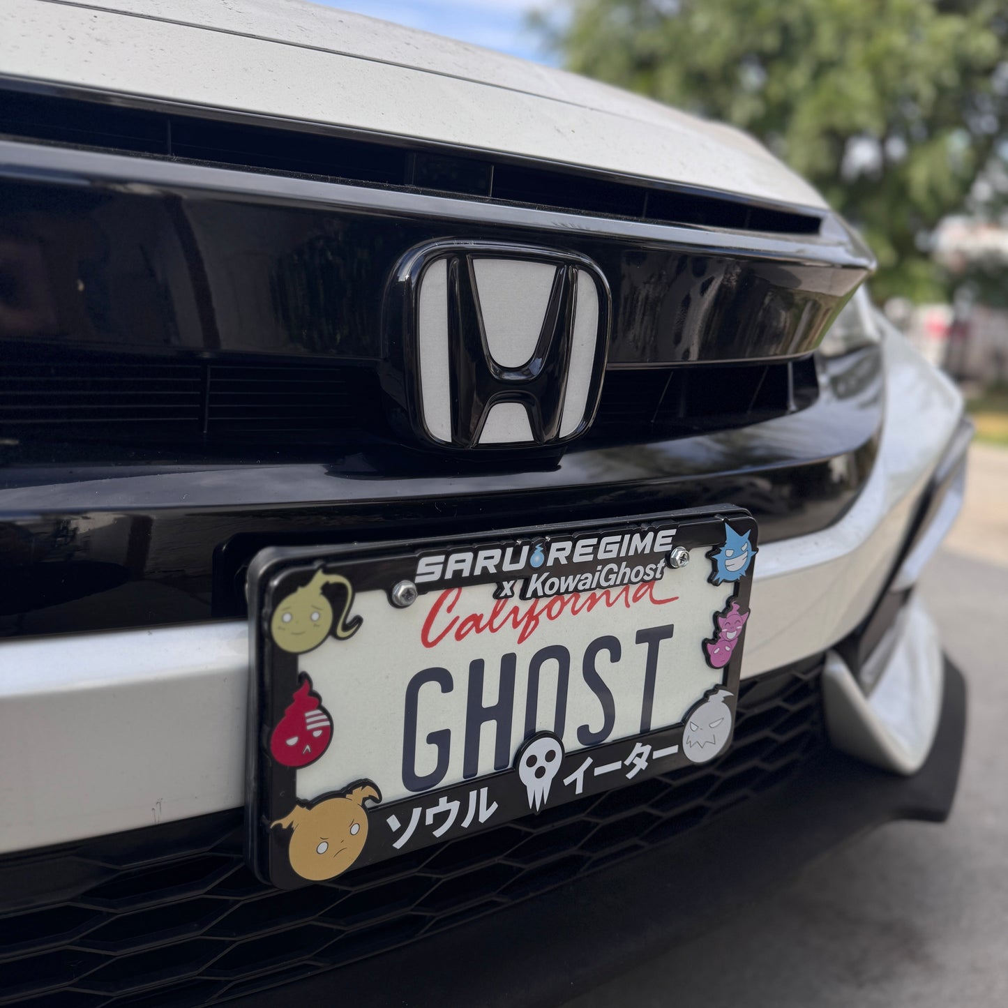 SE - Suls Plate