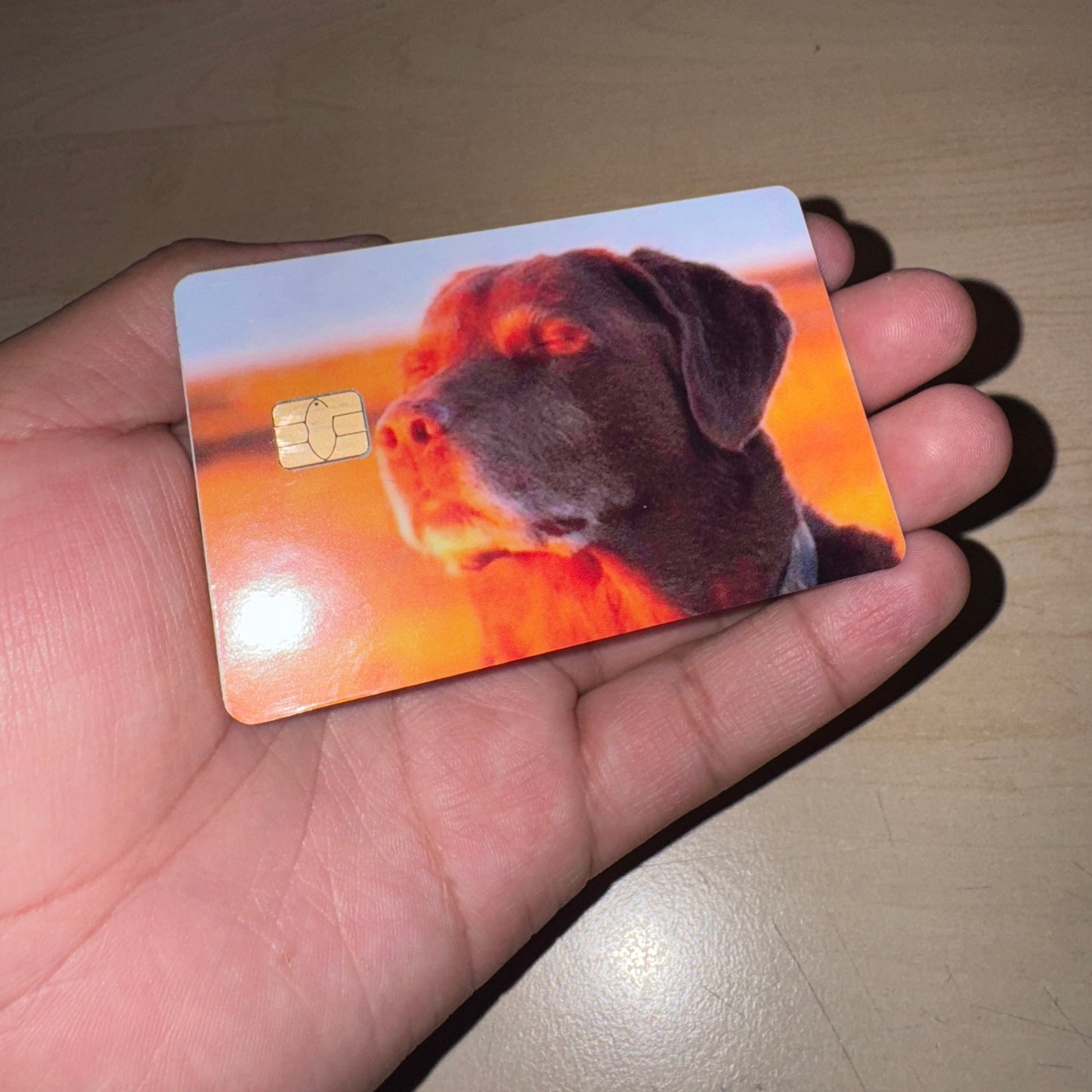Memes - Dog CCs
