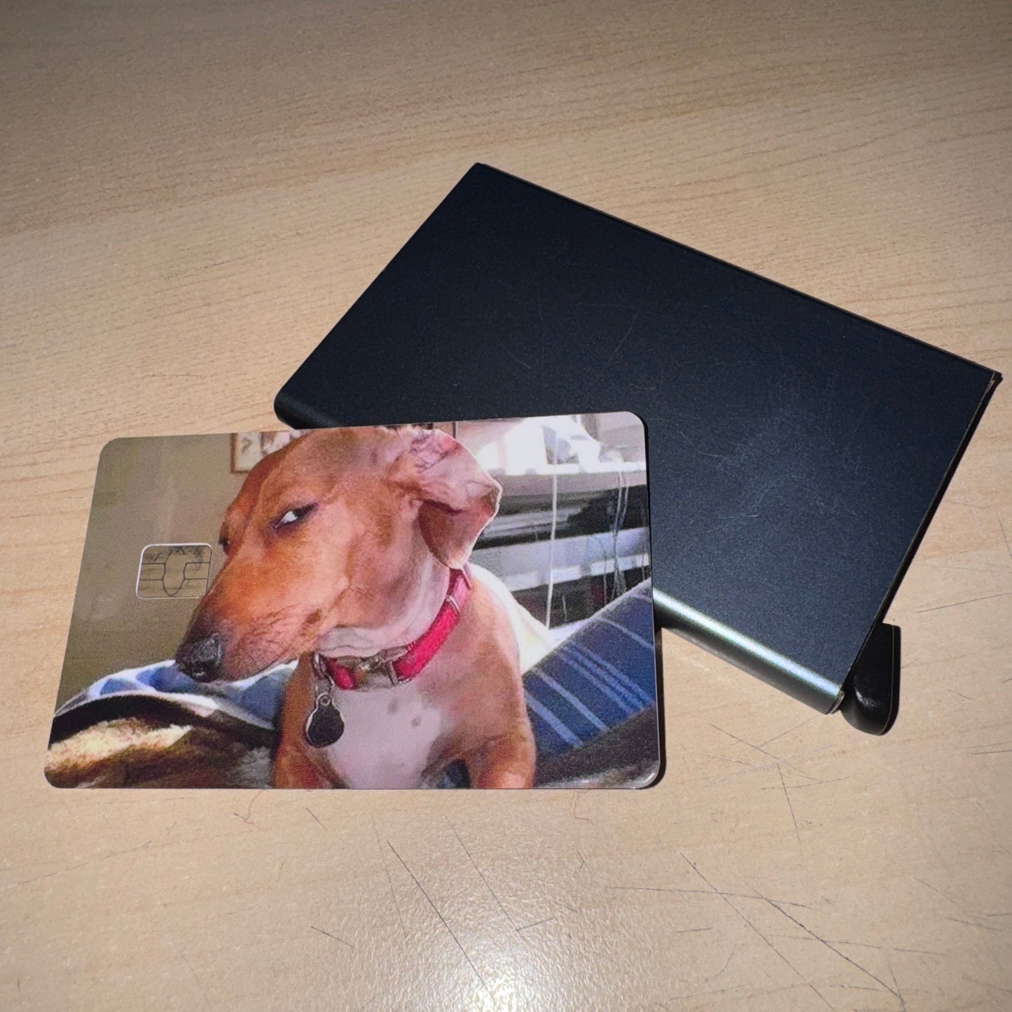 Memes - Dog CCs