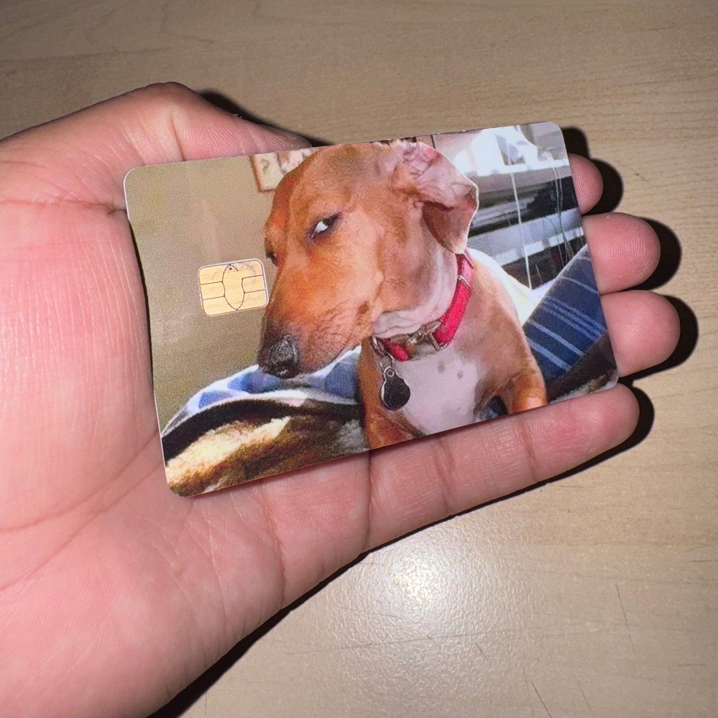 Memes - Dog CCs