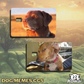 Memes - Dog CCs